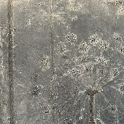 Berenklauw geschilderd door 