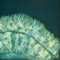 Bladvorm geschilderd door 