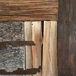 Vergane glorie geschilderd door 