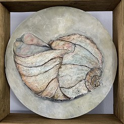 Ammoniet geschilderd door 