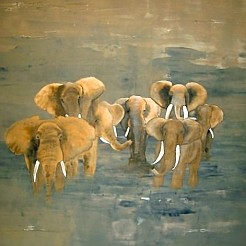 Badende Olifanten geschilderd door 