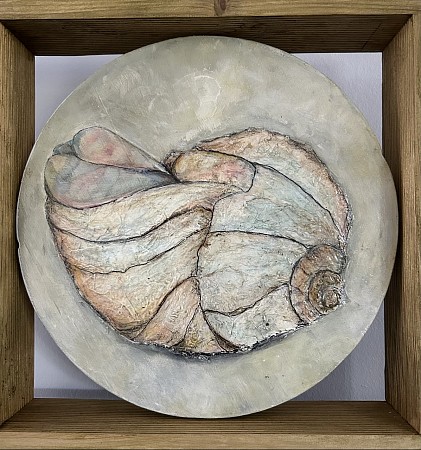 Ammoniet geschilderd door Hannie Hopster