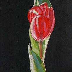 De laatste tulp geschilderd door 