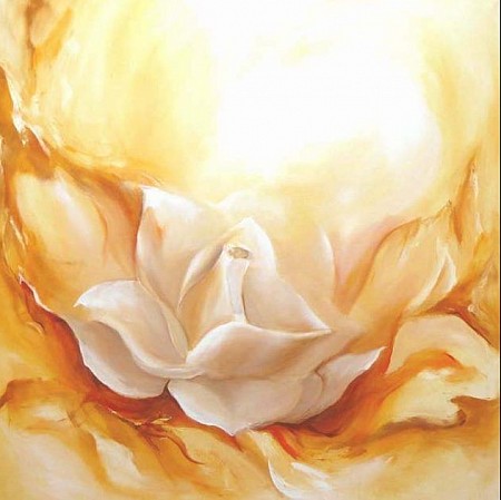 White rose geschilderd door Living Arts